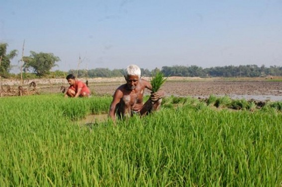 Initiatives taken by the Agriculture Department to make the farmers of the state self reliant